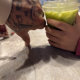 LARGE iced matcha according to them. That's my 9 year old daughter's hand holding the cup. LARGE iced matcha according to them. That's my 9 year old daughter's hand holding the cup.