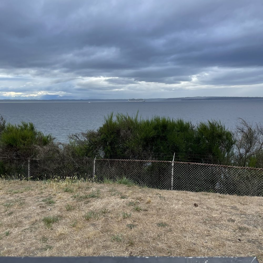 Carkeek Park - View of the Puget Sound with Alaska bound cruise ship - Parks Near Me - Seattle, Washington
