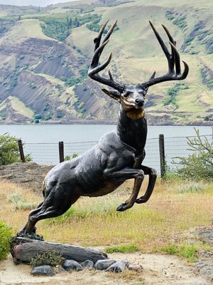 Columbia Gorge Discovery Center & Museum by null