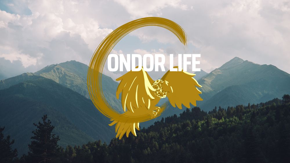 Condor Life and Wellness Services - grief counselor in Columbia, SC