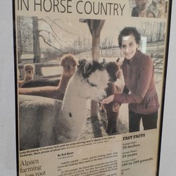 Faraway Farm Alpacas - Very appreciative area.