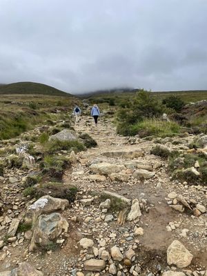 Croagh Patrick by null