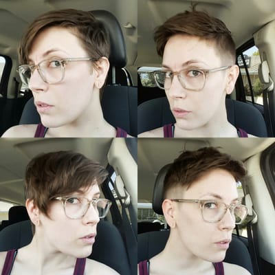 Birds Barbershop by null