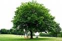 Heaton Park by null