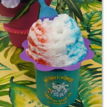 Meowee Wowee Shave Ice - Dirk style Nuts and Berry! - Shaved Ice Near Me Meowee Wowee Shave Ice - Dirk style Nuts and Berry! - Shaved Ice Near Me