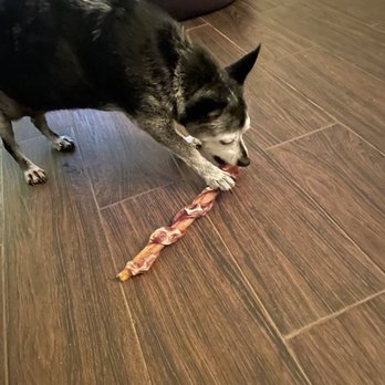 Emerson's Pet Nutrition - Another treat from Emerson's. A little oversized but she still conquered it. - Pet Stores Near Me - Rancho Mirage, California