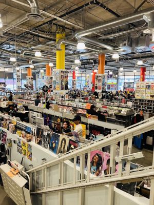 Amoeba Music by null