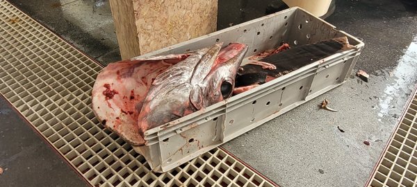 Mercado dos Lavradores (farmers' market) by null