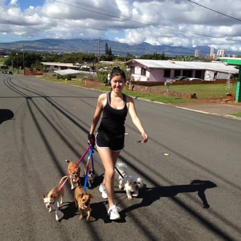VIPaws - Our pack gets lots of healthy exercise and supervised socialization - Dog Walkers Near Me
