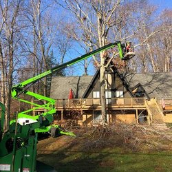 Branson's Tree Service - untitled