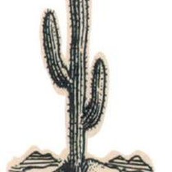 High Desert Veterinary Service - untitled
