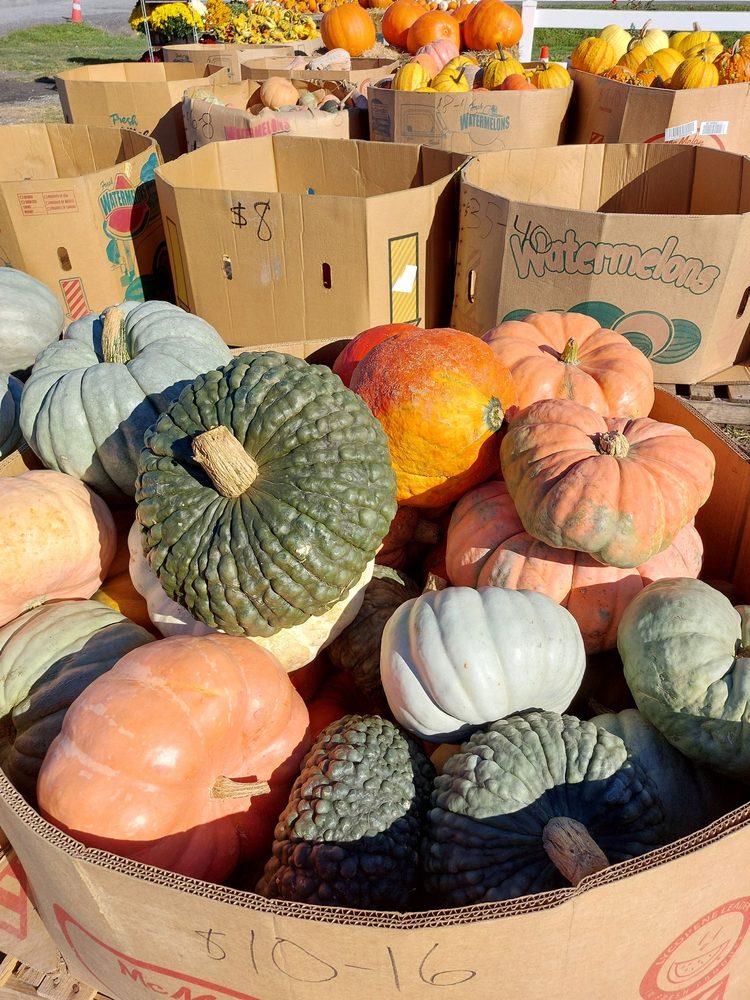 Farmer Jon's - beekeeping in Selkirk, NY