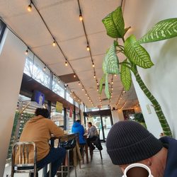 Kuppajo Espresso Bar