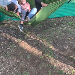 Symphony Woods - Hammock fun