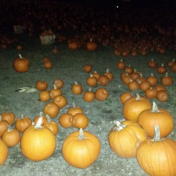 Connors Farm - Whole lotta pumpkin - Farmers Market Near Me - Danvers, Massachusetts