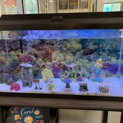 Glen Cove Public Library - Fish tank