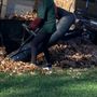 Photo of Valdez Landscaping
