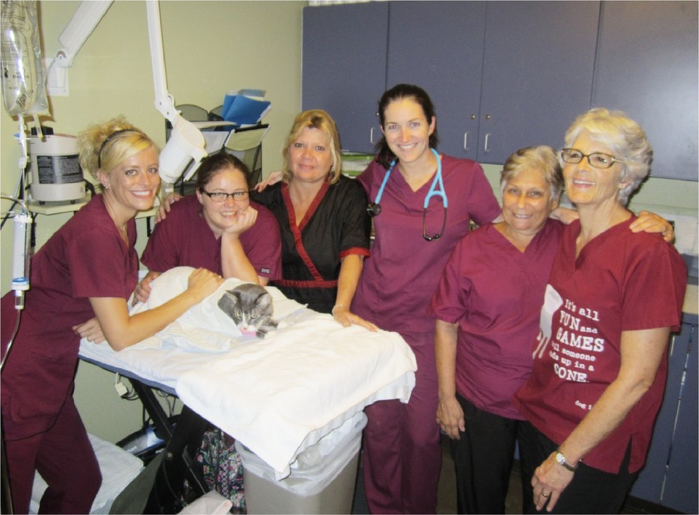 St. Augustine Humane Society Image