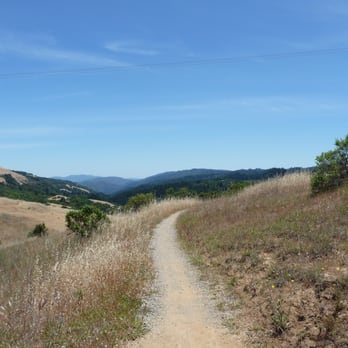 Monte Bello Open Space Preserve - White Oak Trail - Hiking Near Me - Palo Alto, California Monte Bello Open Space Preserve - White Oak Trail - Hiking Near Me - Palo Alto, California