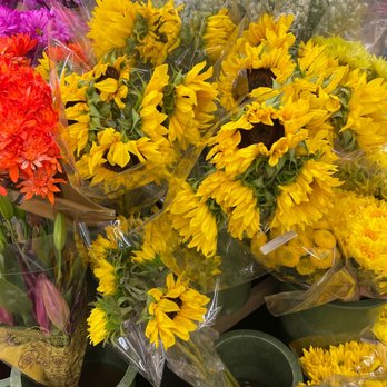 Kroger - a bunch of sunflowers in a flower shop - Grocery Near Me - Jasper, Georgia Kroger - a bunch of sunflowers in a flower shop - Grocery Near Me - Jasper, Georgia