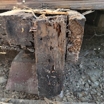 Riverz Pro Green Landscaping - entire bottom chewed by termites - Landscaping Near Me