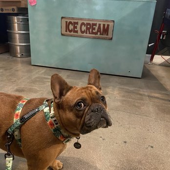 Lincoln Beer Company - Ice cream - Breweries Near Me - Burbank, California Lincoln Beer Company - Ice cream - Breweries Near Me - Burbank, California