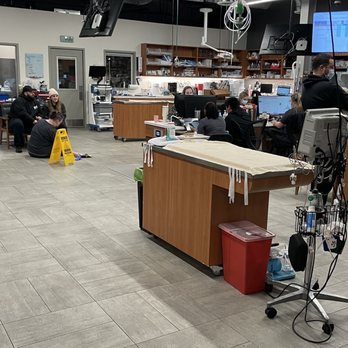 VEG ER for Pets - The open treatment area is spotless, the team is amazing, and you're never left alone or separated from your pet. - Emergency Pet Hospital Near Me - Cambridge, Massachusetts