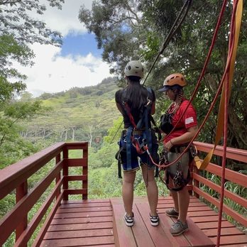 Koloa Zipline - Ziplining Near Me - Koloa, Hawaii Koloa Zipline - Ziplining Near Me - Koloa, Hawaii