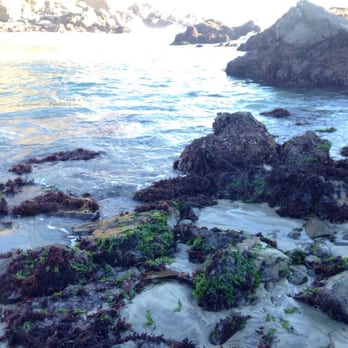 Pfeiffer Beach - Beaches Near Me - Big Sur, California Pfeiffer Beach - Beaches Near Me - Big Sur, California