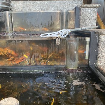 Hemenway's Restaurant - Lobsters laying low! - Seafood Near Me - Providence, Rhode Island Hemenway's Restaurant - Lobsters laying low! - Seafood Near Me - Providence, Rhode Island