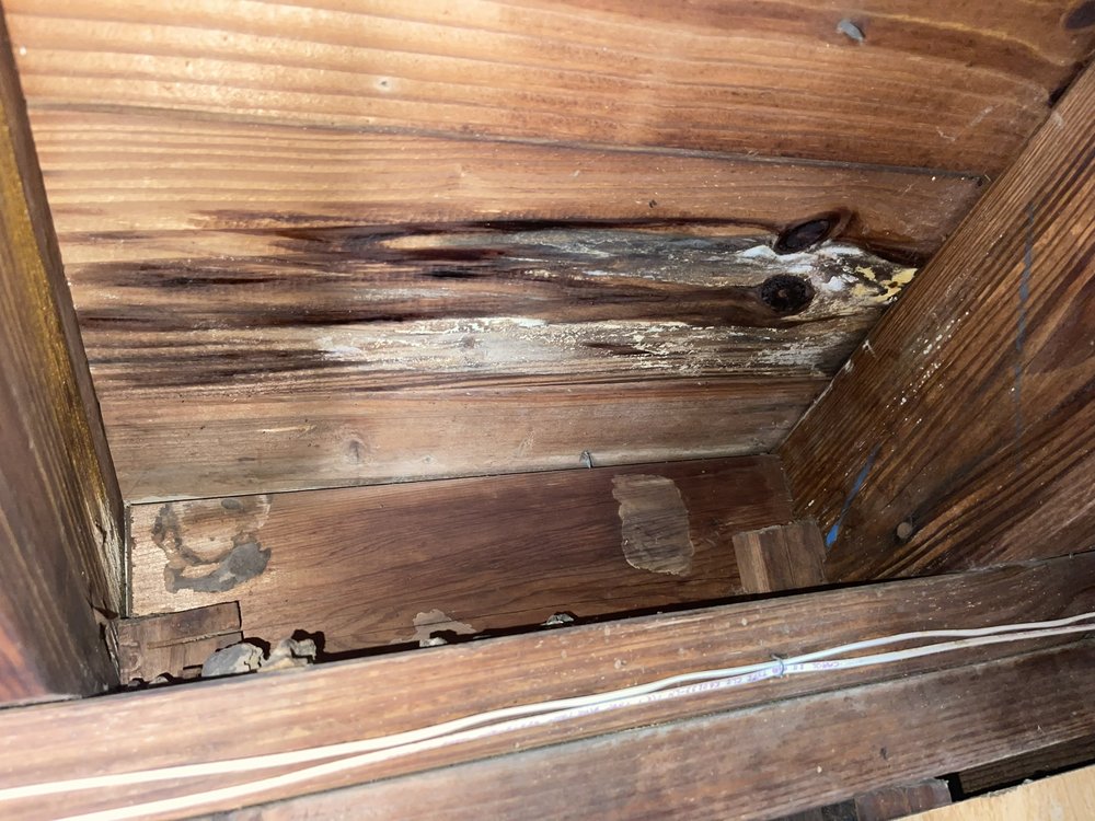 Slide of Gary Elo Roofing