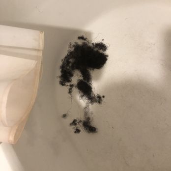 Beyond Beautea - Massive hair loss wash 5 - Hair Salons Near Me - Georgetown, Texas Beyond Beautea - Massive hair loss wash 5 - Hair Salons Near Me - Georgetown, Texas