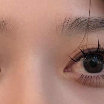 Princess Lash  - Eyelash Service Near Me - San Francisco, California