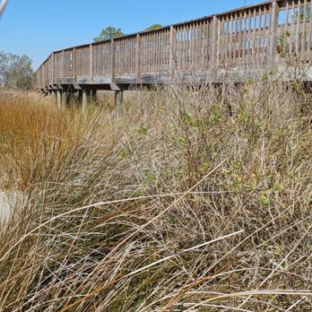 Blue Cypress Park - Boardwalk is new and fortified. - Parks Near Me - Jacksonville, Florida Blue Cypress Park - Boardwalk is new and fortified. - Parks Near Me - Jacksonville, Florida