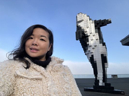 Digital Orca - Douglas Coupland by null