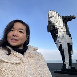 Digital Orca By Douglas Coupland