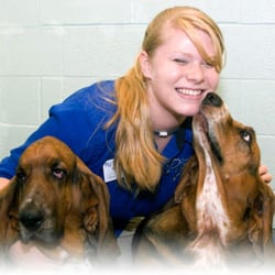 Bradford Hills Pet Hotel & Grooming Salon