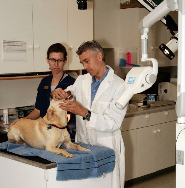 FORK UNION ANIMAL CLINIC Updated September 2024 14 Photos & 12