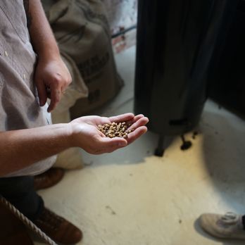 Luma Coffee Roasters - a man holding a handful of coffee beans - Coffee & Tea Near Me - Hammond, Louisiana Luma Coffee Roasters - a man holding a handful of coffee beans - Coffee & Tea Near Me - Hammond, Louisiana