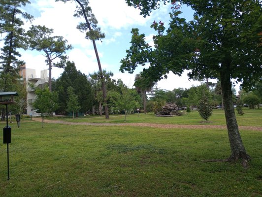 UCF Arboretum by null