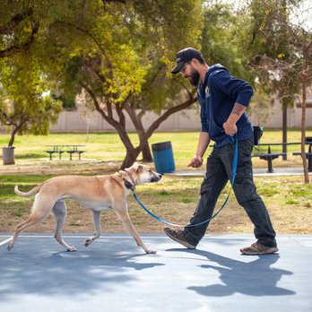 Dog's Eye View Training & Boarding - Corey training one of our client pups, Duke. - Pet Training Near Me Dog's Eye View Training & Boarding - Corey training one of our client pups, Duke. - Pet Training Near Me