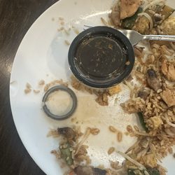 Genjigo - Found trash in my food. This rubber gasket was inside my food.