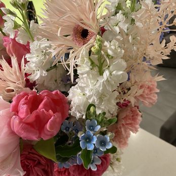 Black Orchid Flowers - Bubble gum flowers - Florists Near Me - Beverly Hills, California Black Orchid Flowers - Bubble gum flowers - Florists Near Me - Beverly Hills, California
