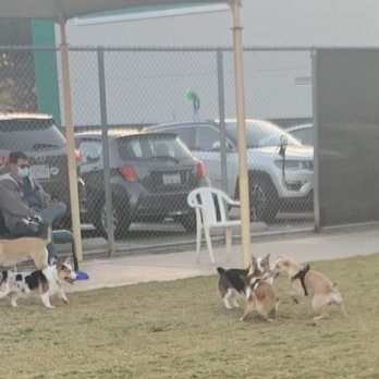 Irvine Central Bark Dog Park - Dog Parks Near Me - Irvine, California Irvine Central Bark Dog Park - Dog Parks Near Me - Irvine, California