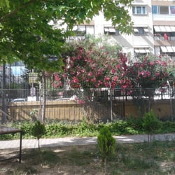 Karşıyaka Lisesi