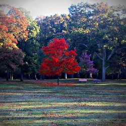 Hempstead Lake State Park