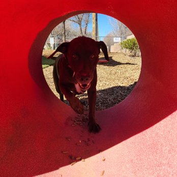 Kirtland AFB FamCamp - Very nice dog park - RV Parks Near Me