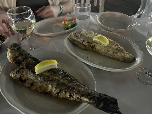 Elias Corner by null