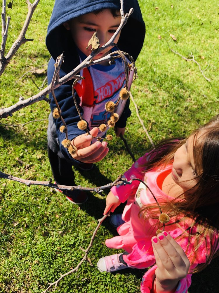 Aguilera Family Daycare - childcare center in Torrance, CA