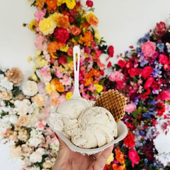 Mayday Ice Cream - Raja honey and Sunday Best banana pudding - Coffee & Tea Near Me - Lakeland, Florida Mayday Ice Cream - Raja honey and Sunday Best banana pudding - Coffee & Tea Near Me - Lakeland, Florida